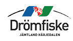 Drömfiske